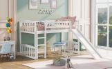 Twin size Loft Bed with Slide and Ladder
