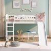Twin size Loft Bed with Slide and Ladder